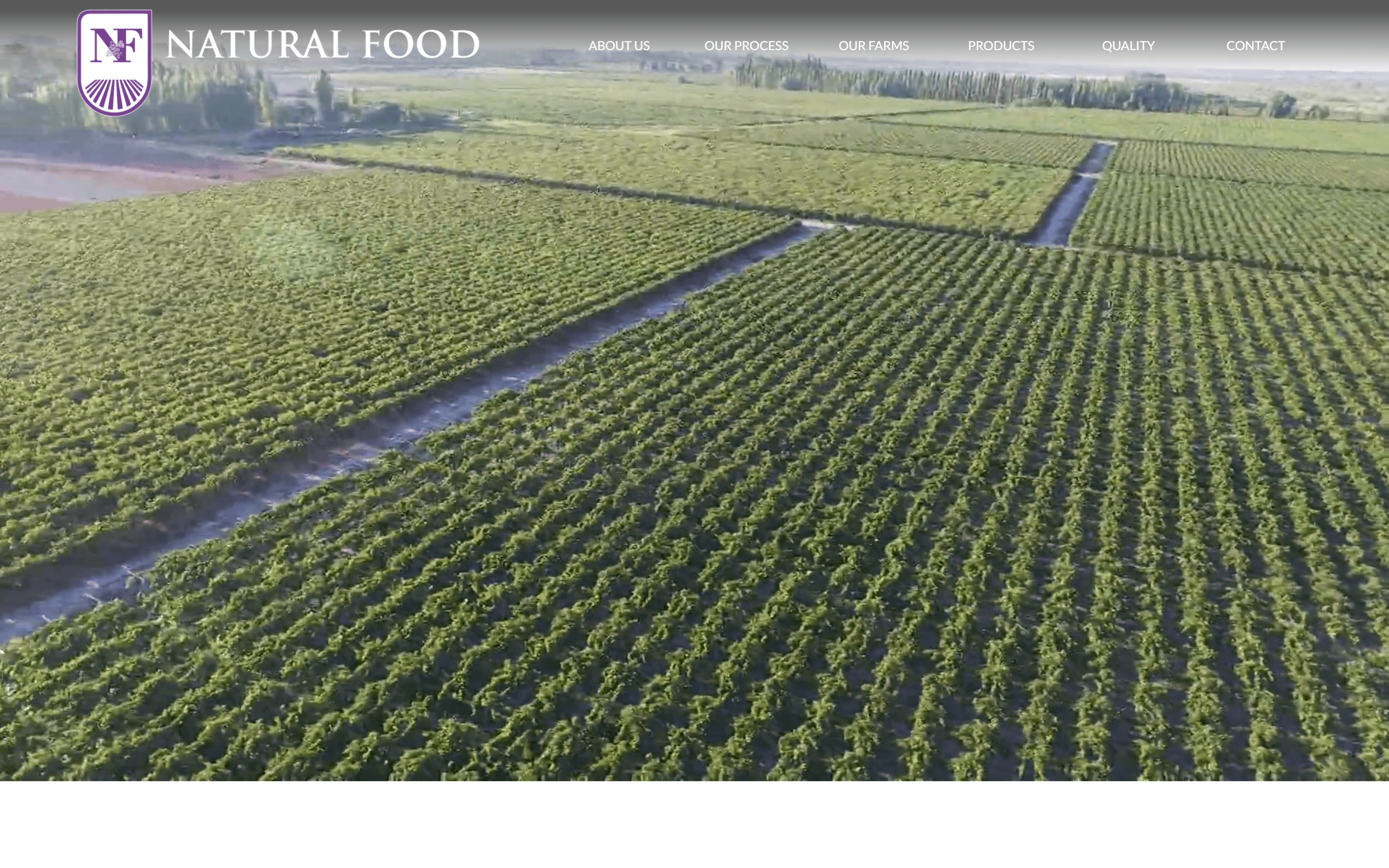 Natural Food Argentina - Desktop