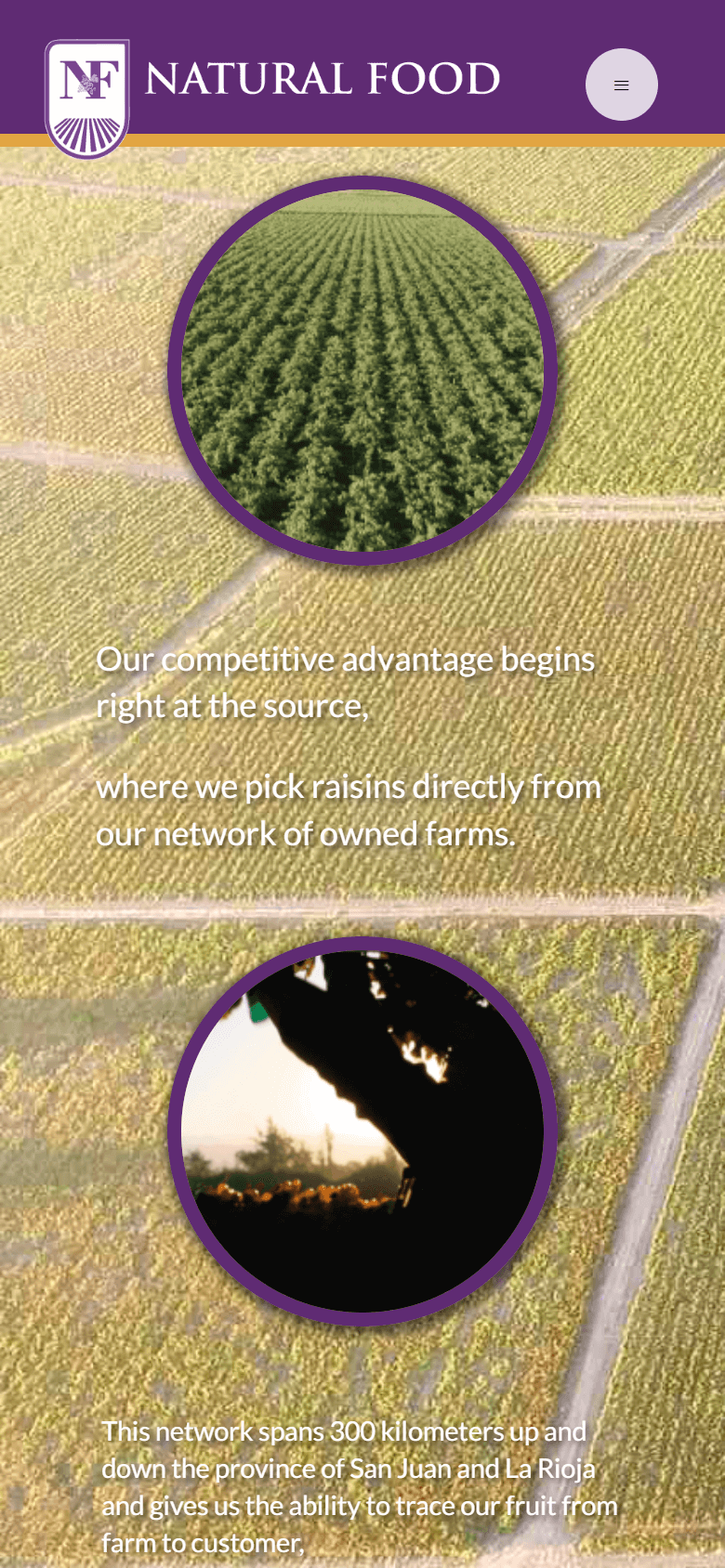 Natural Food Argentina - Mobile